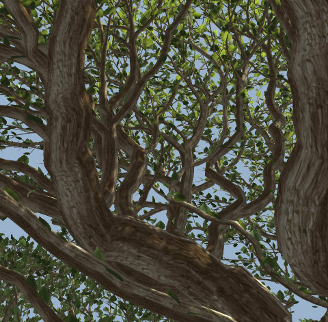 tree_inside